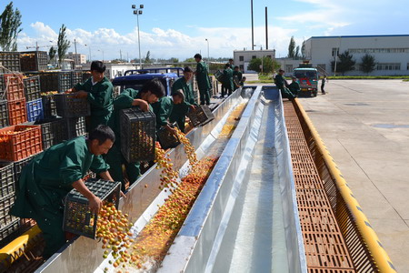 南宫NG·娱乐(中国集团)官方网站