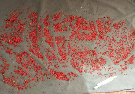 南宫NG·娱乐(中国集团)官方网站