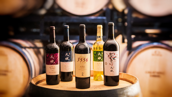 南宫NG·娱乐(中国集团)官方网站